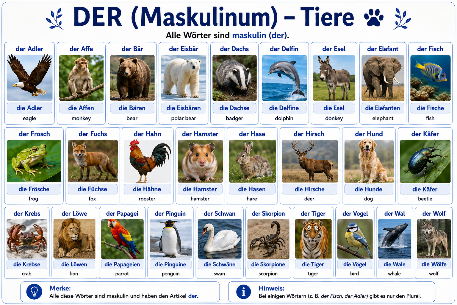 Illustration of masculine (der) animal nouns