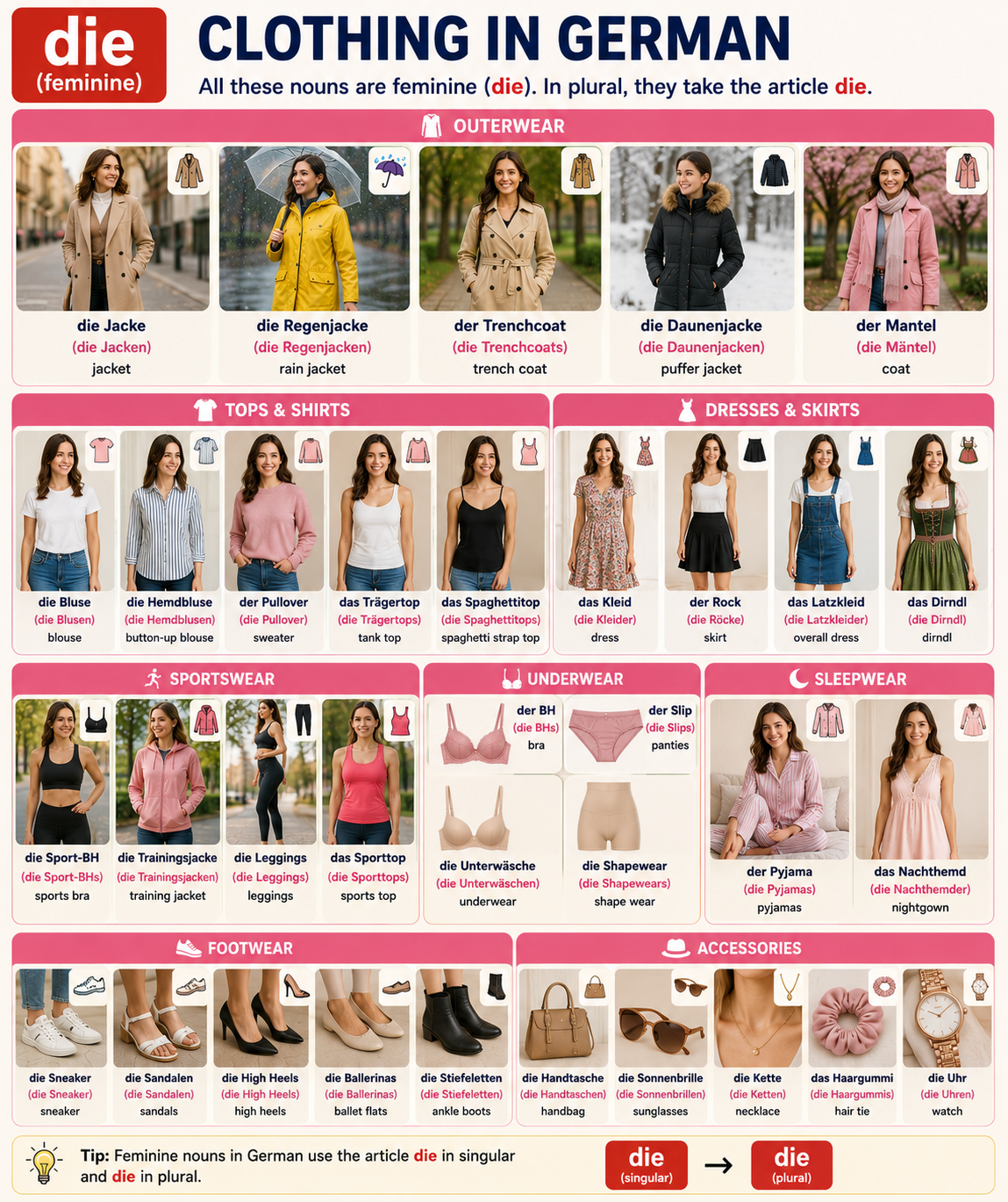 Illustration of feminine (die) clothing nouns