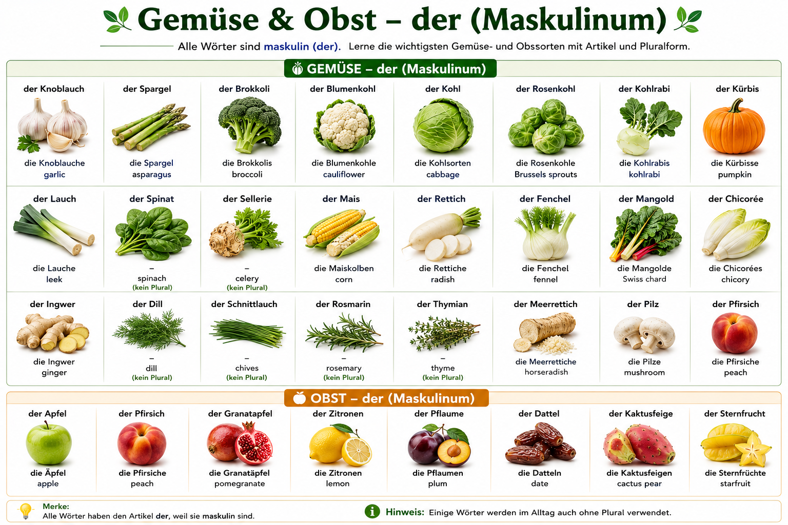 Illustration of masculine (der) fruit and vegetable nouns