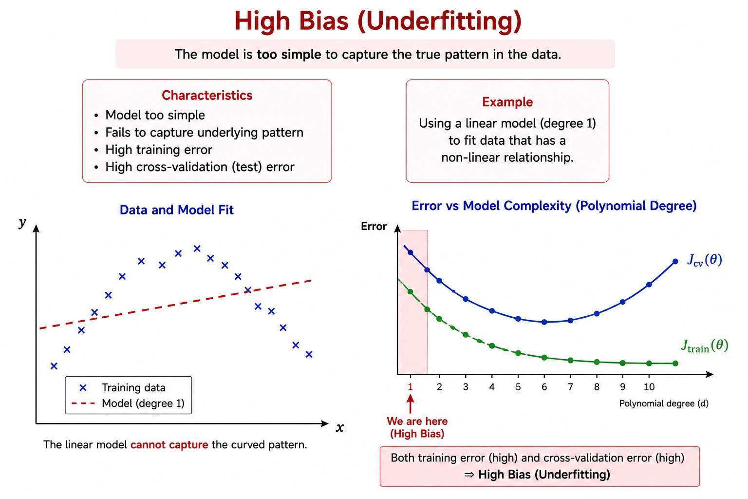 High Bias in Model