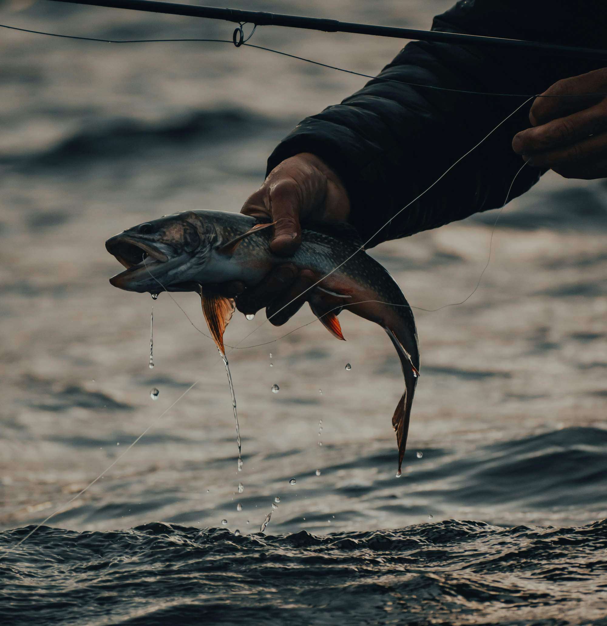Cover Image for Fishing Licence in Germany 🎣 – How to Get Your Angelschein