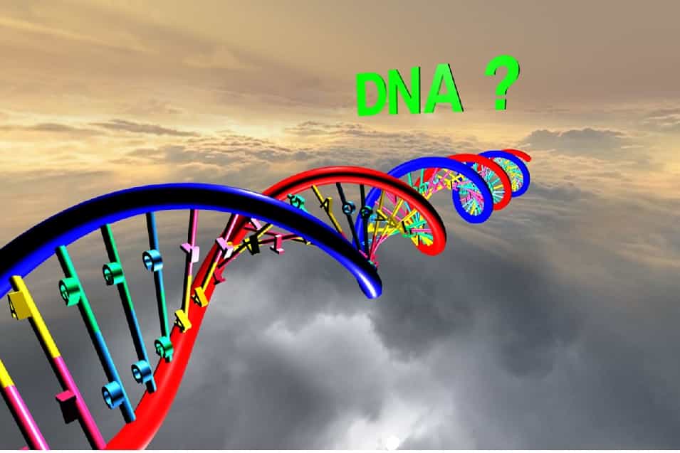  Double Helix models of DNA with THREE.JS